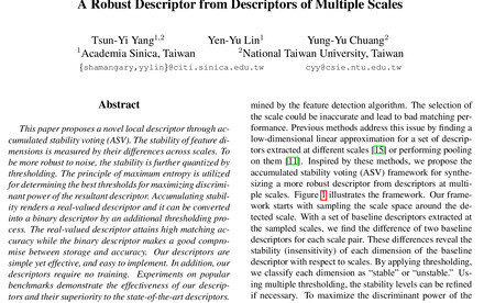 Accumulated stability voting descriptor