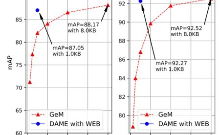 DAME WEB landmark retrieval