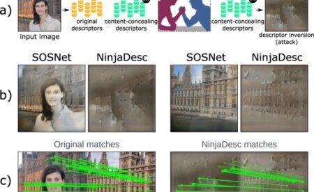 NinjaDesc content-concealing descriptors